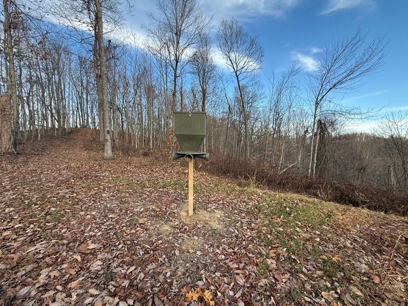 036 another of the feeders on the north ridge