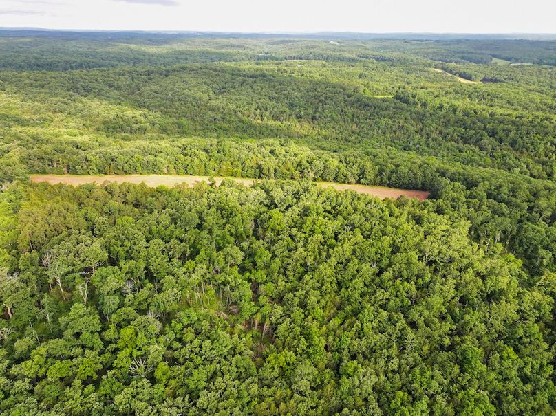 DJI_20260602075315_0235_D