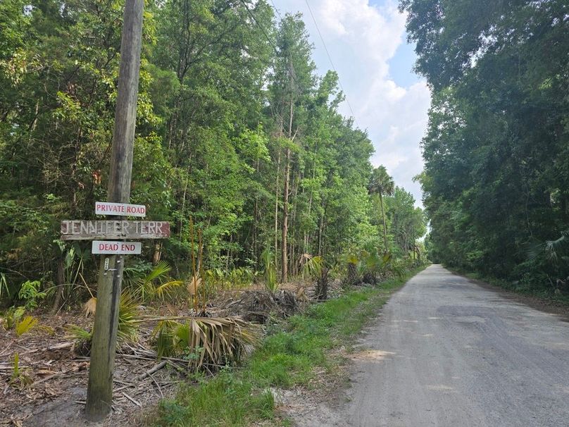 Road Side Jennifer terrace S facing 