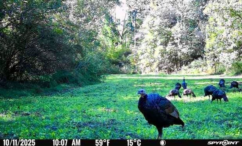 158054AC-3C96-4485-8451-47355EF52806_1_201_a