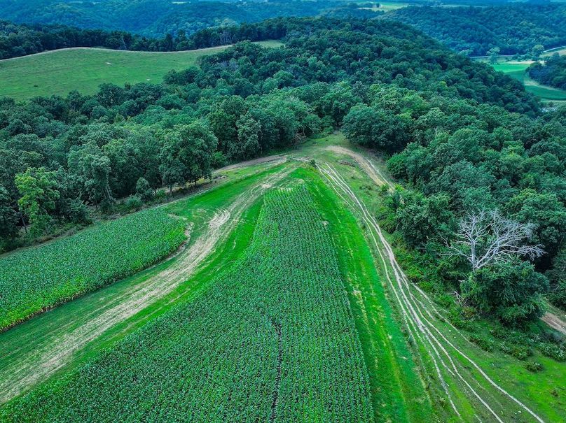 New Albin 8_8 edits-22