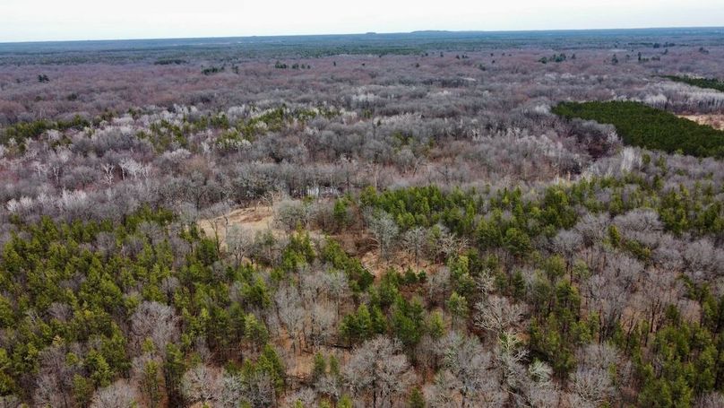 dji_fly_20250404_130022_741_1744067520118_photo_optimized 4