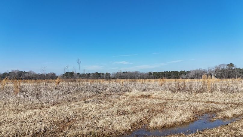 dji_fly_20260206_113438_0261_1770395756353_photo