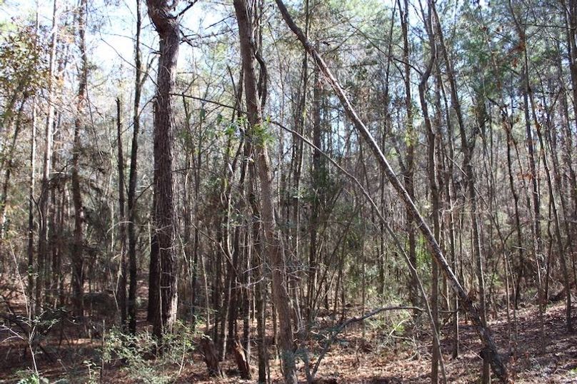 47F17F49-546C-4B55-A2F4-C5EFD64DC362_1_105_c