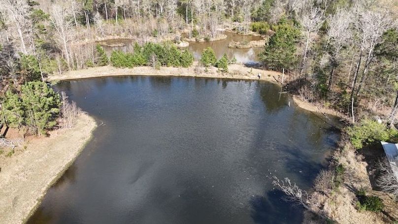 dji_fly_20260305_050240_0082_1772672665349_photo