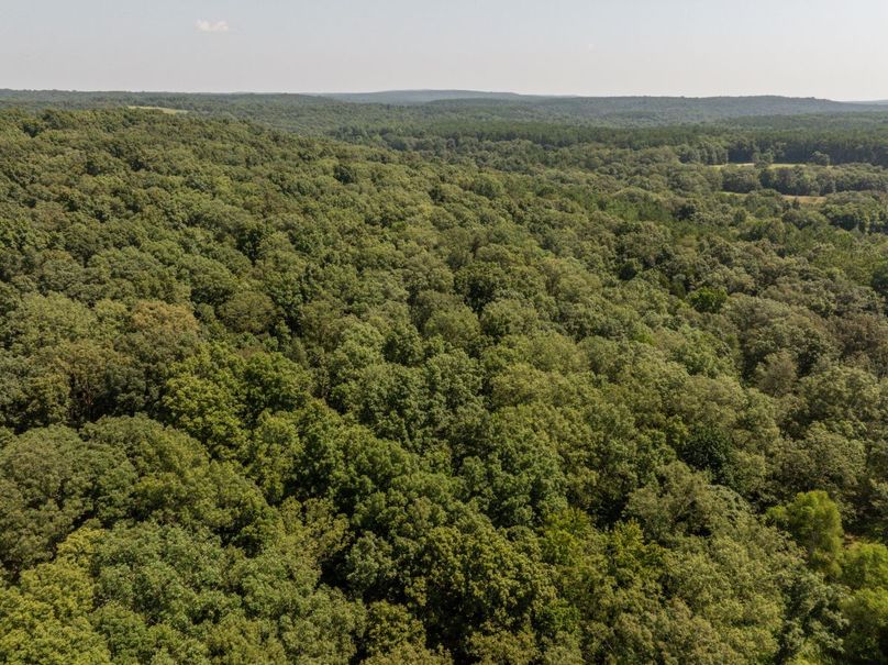 DJI_20250723113610_0570_D