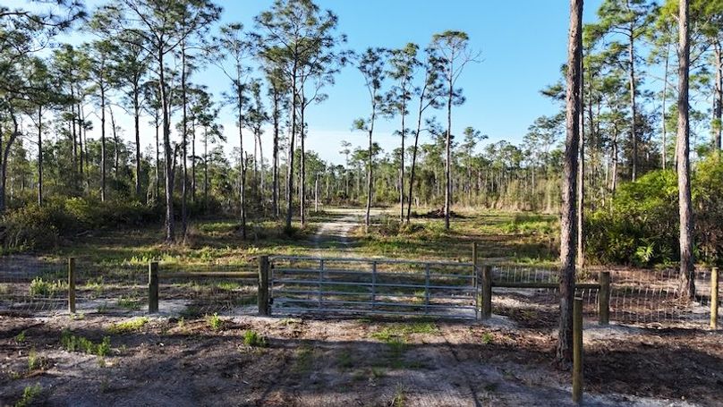 DJI_20260402084325_0412_D