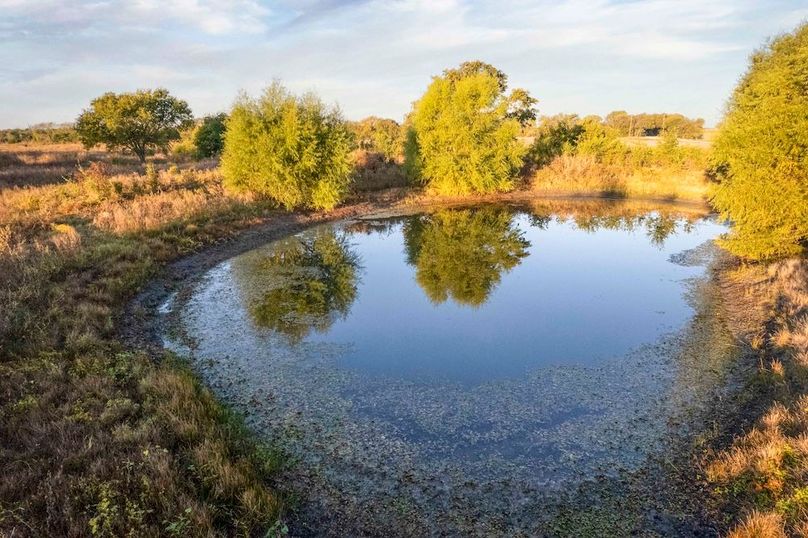 Hunt County- 44.51 acres (4 of 29)