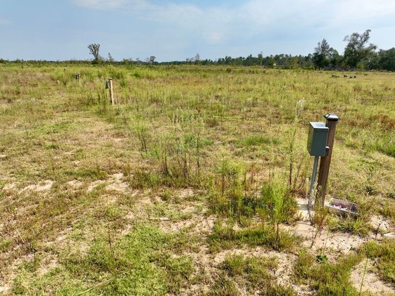 dji_fly_20250918_111830_174_1758209481655_photo