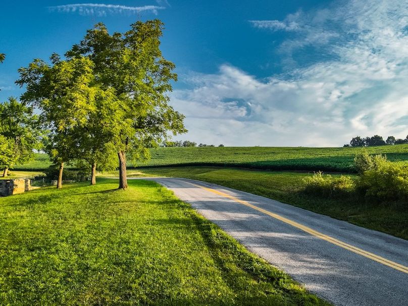 6 York 21.78 Krebs-01