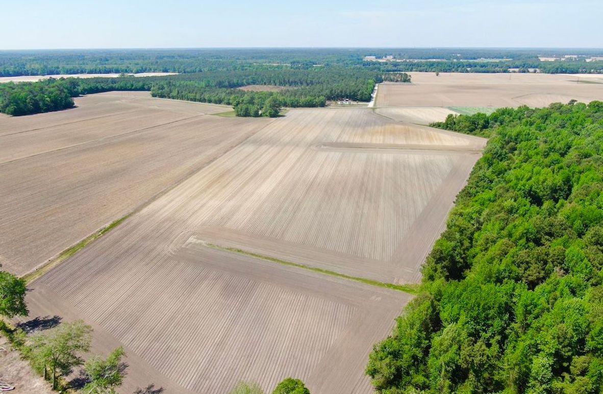 5E8EAD48B2B69E3891FF2F601B0A23CE