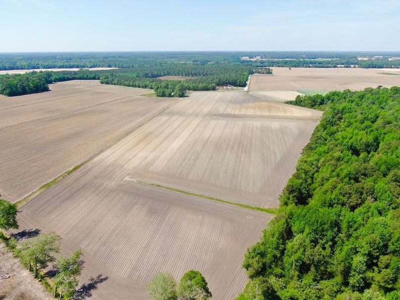 5E8EAD48B2B69E3891FF2F601B0A23CE