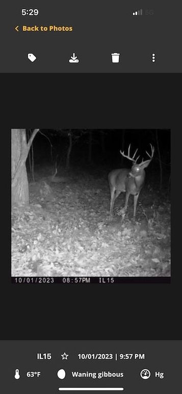 00EC56B5-5B24-4044-9B42-72F355EADB87_1_105_c