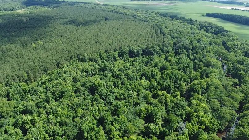 2024-06-01-10-32-07-322