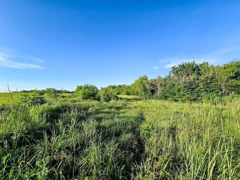 Copy of 20250729_073948