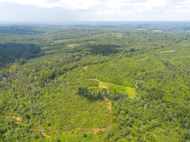 dji_fly_20250729_115714_734_1753804657628_photo