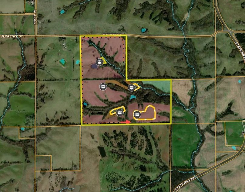 Screenshot 2025-12-02 at 12.54.05 PM