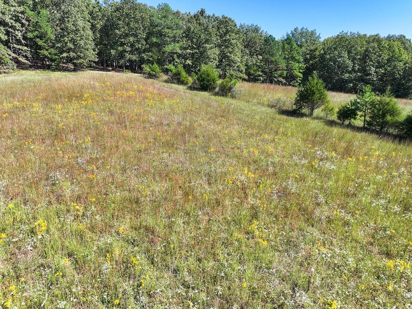 DJI_20240925113315_0230_D