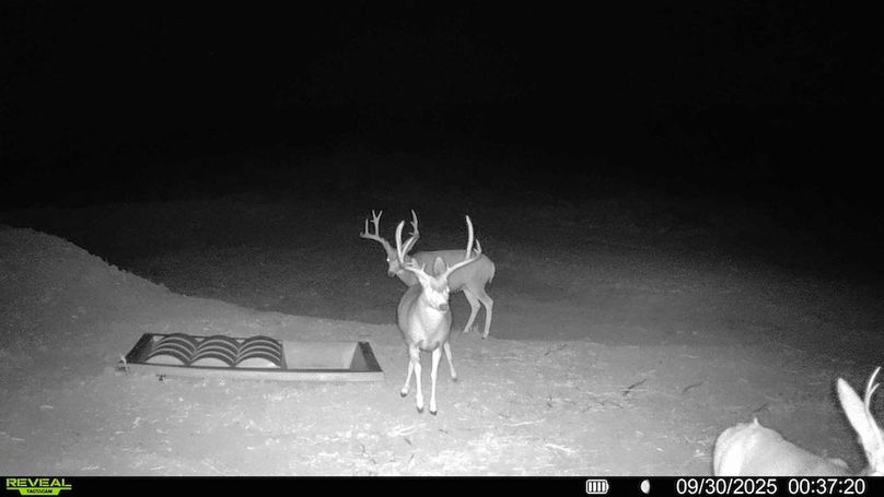 26e6c92a-2cb0-4824-959b-795d818444b6