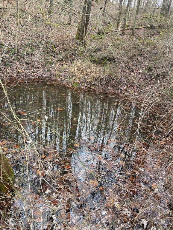 Greenup Ky Mauk 46.15 19