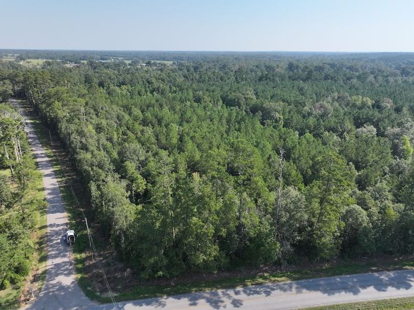 dji_fly_20250818_094726_0353_1755614662168_photo