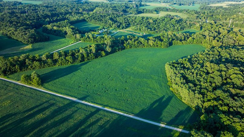 DJI_20250805061601_0020_D