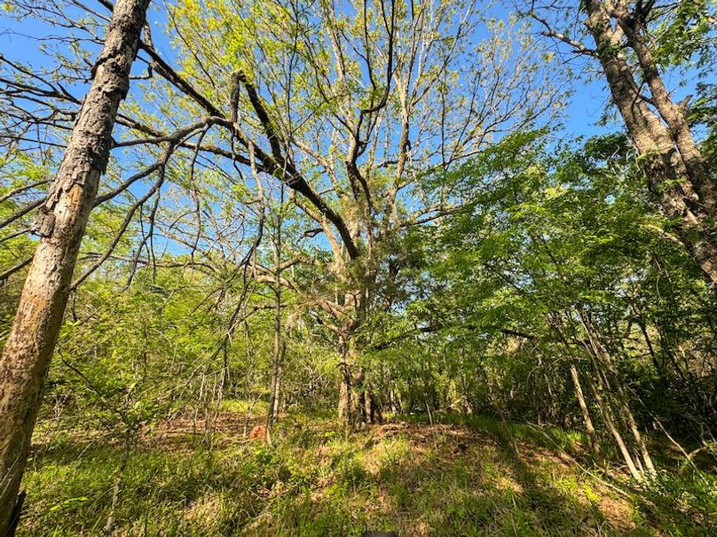 Tallahatchie 44 Newman (Crowden) Wide-10