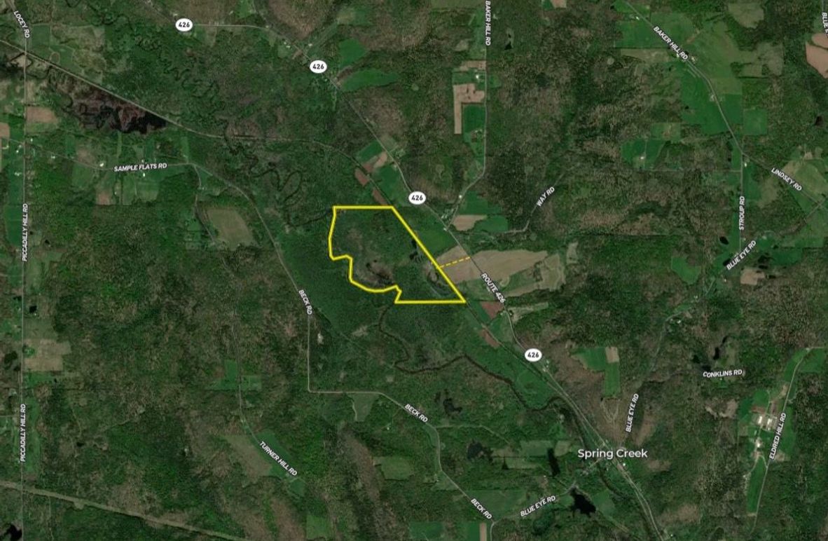 Screen Shot 2026-04-09 at 11.56.55 AM