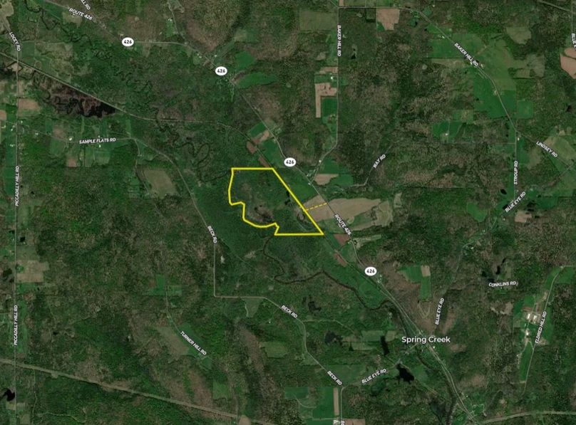 Screen Shot 2026-04-09 at 11.56.55 AM