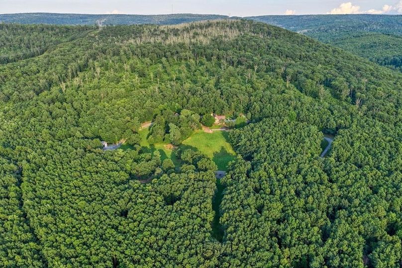 Franklin 59.85_031-2