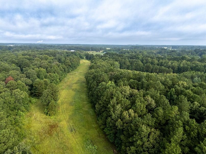 20 Panola Co. 40ac - Rouse-07