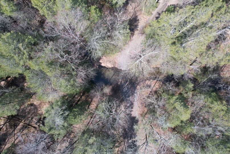 dji_fly_20260330_124808_557_1775656609023_photo