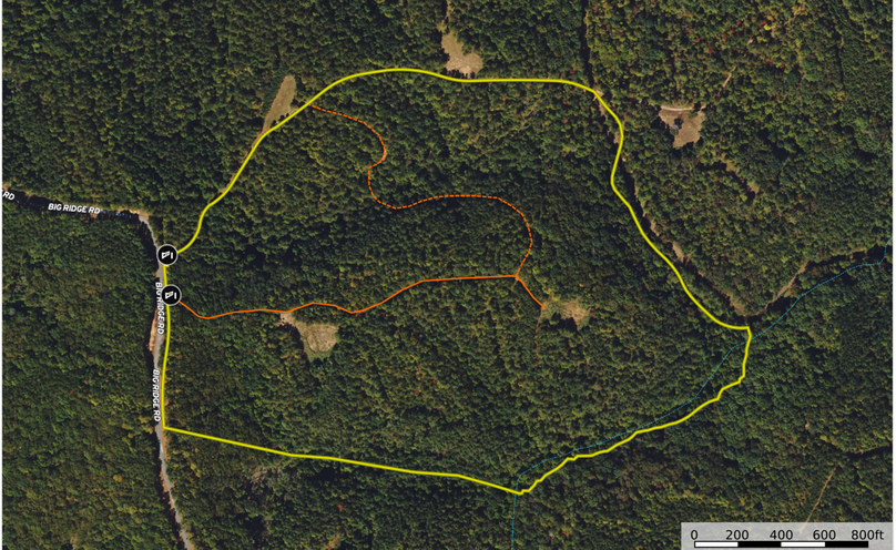 Aerial Map  - Pickens 85.1