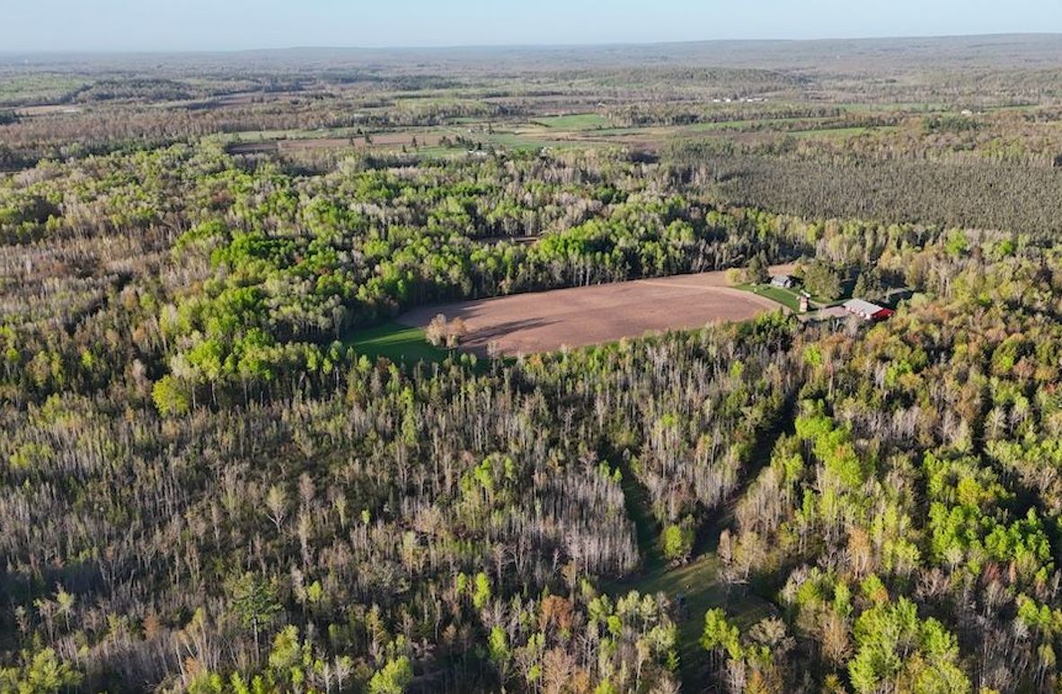 DJI_20260516065243_0049_D