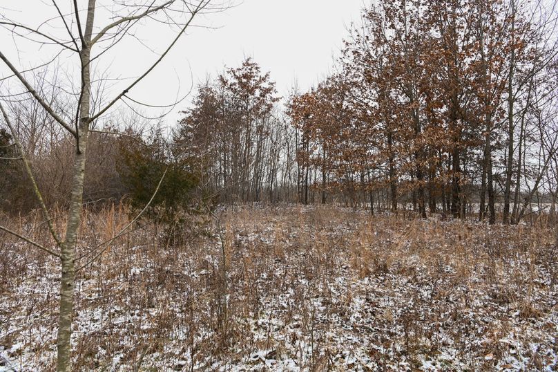 vandalia 450 (2)-1180