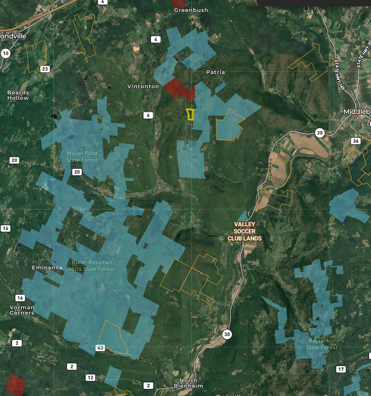 SC 32.8 Brooks NYS Foestland Map