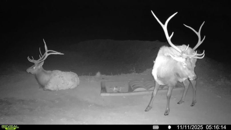 016578004267347-100-3-11112025051614-V-SYFW00629