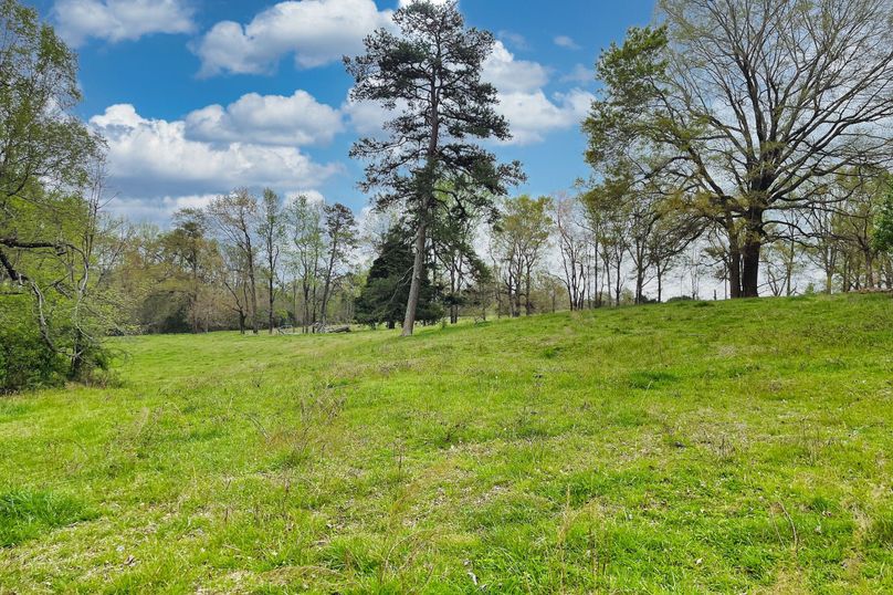 08 Pasture _ Trees 03