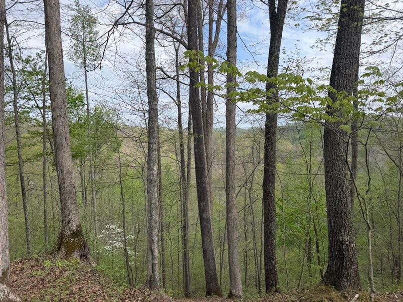021 Looking Out From a West Saddle