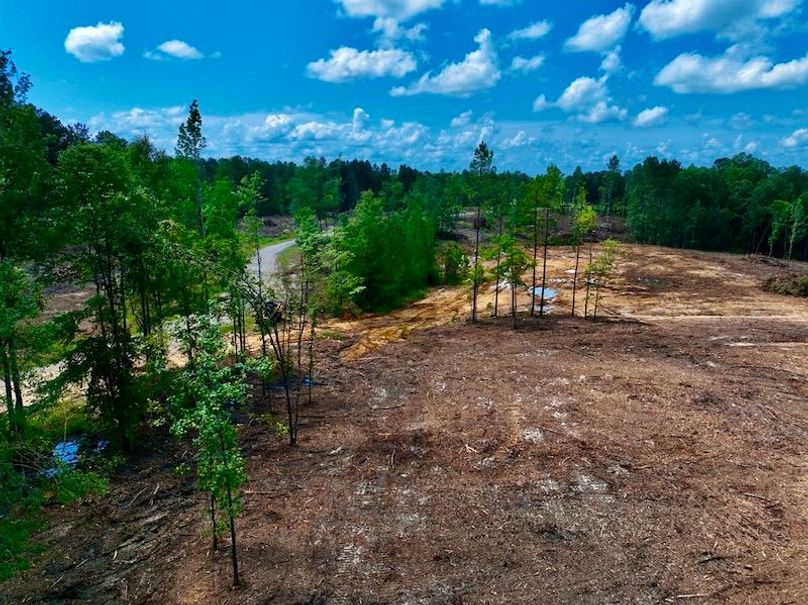 16EBDBAC-E3AD-44AF-80BF-93CDA07FC7F9_1_105_c