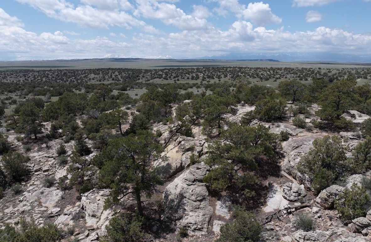 DJI_20250508123938_0054_D