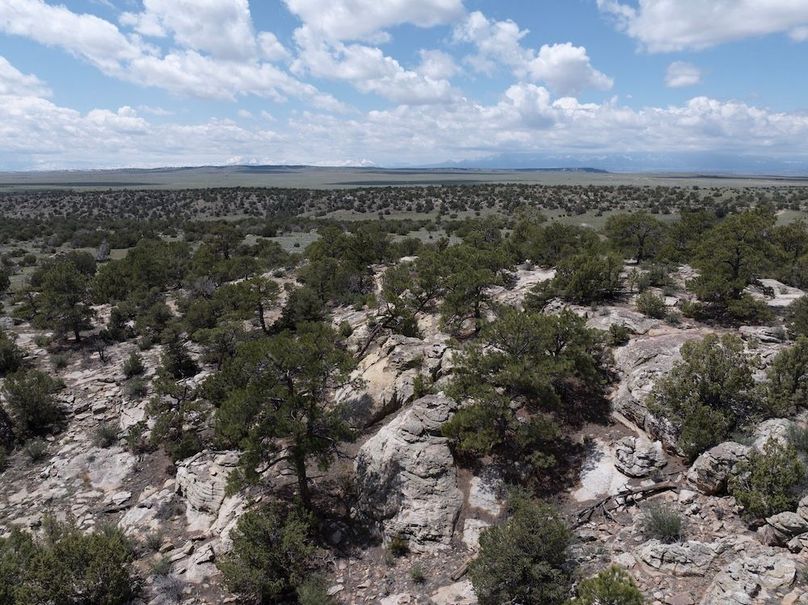 DJI_20250508123938_0054_D