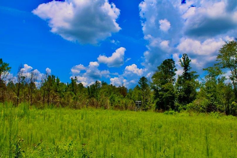 67A585EC-4787-4085-AA04-ED523B2B3F58_1_201_a