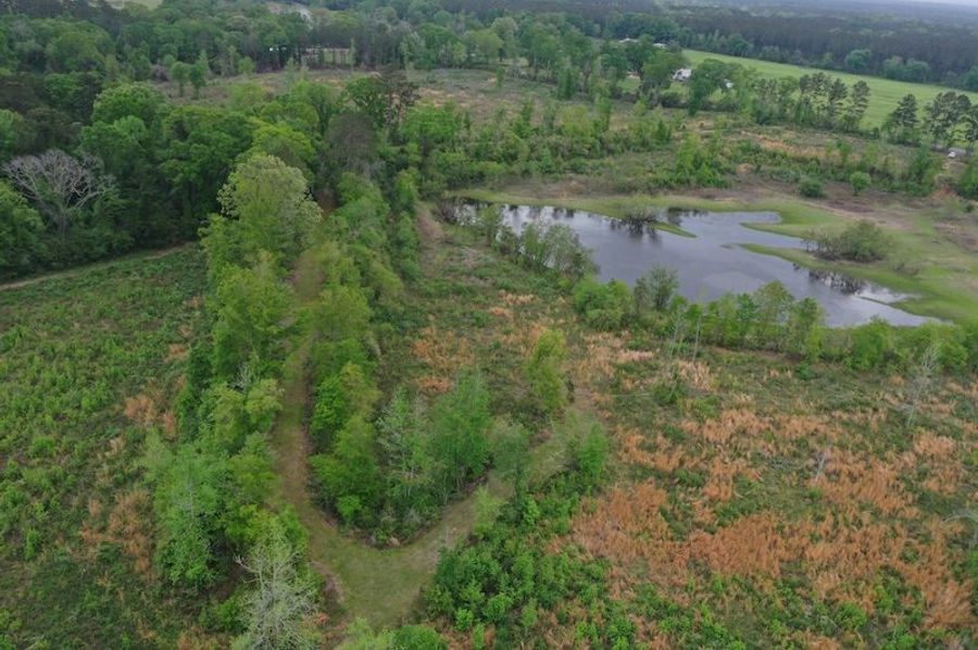 DJI_0028