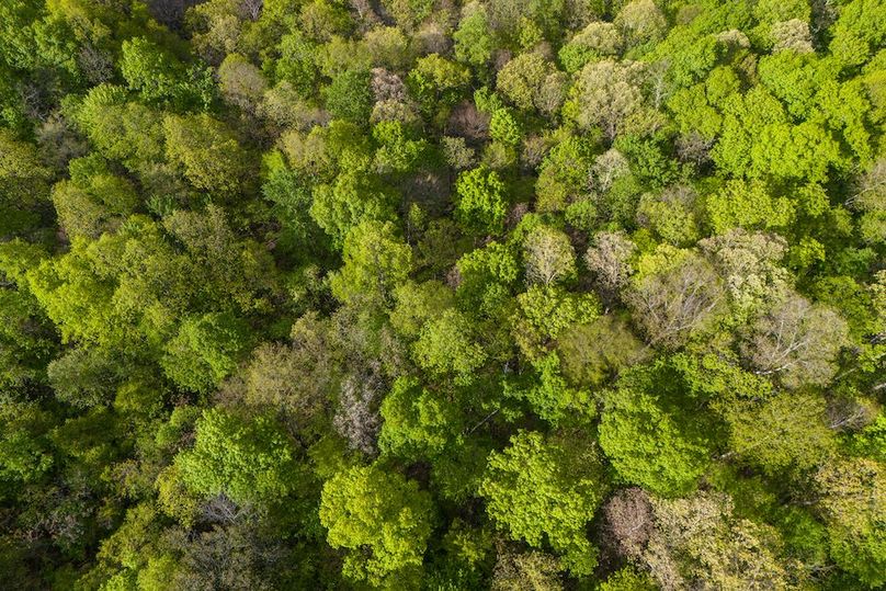 DJI_20260502075513_0130_D