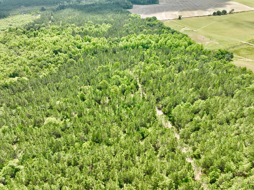 dji_fly_20230426_150810_321_1682536341274_photo