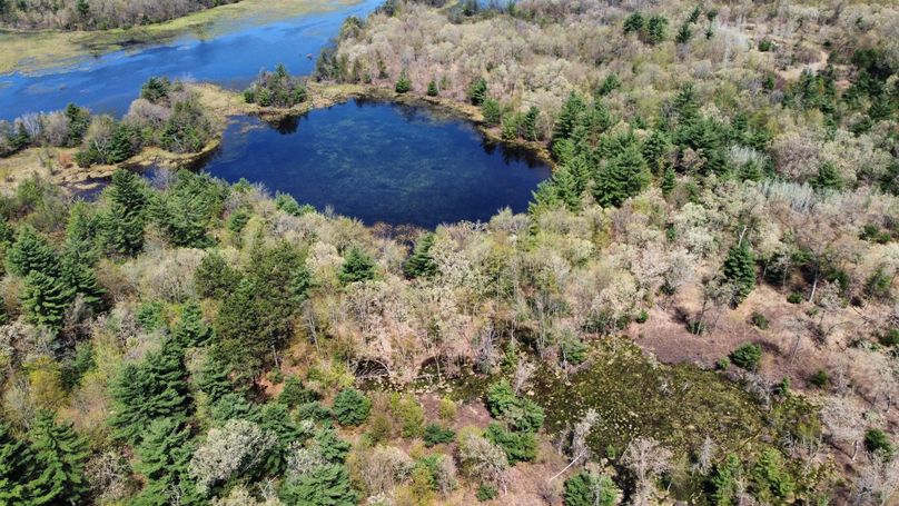 dji_fly_20230511_114308_453_1683838270251_photo_optimized