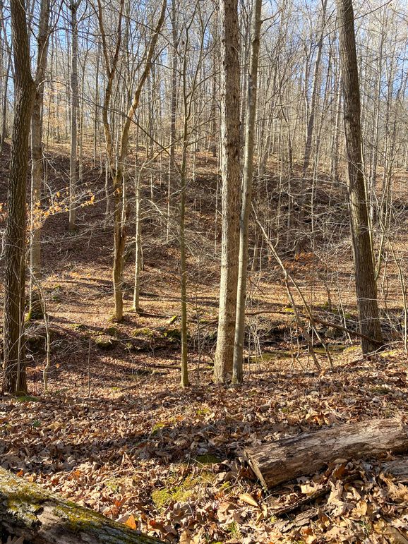 Lewis ky 304 Austin 011