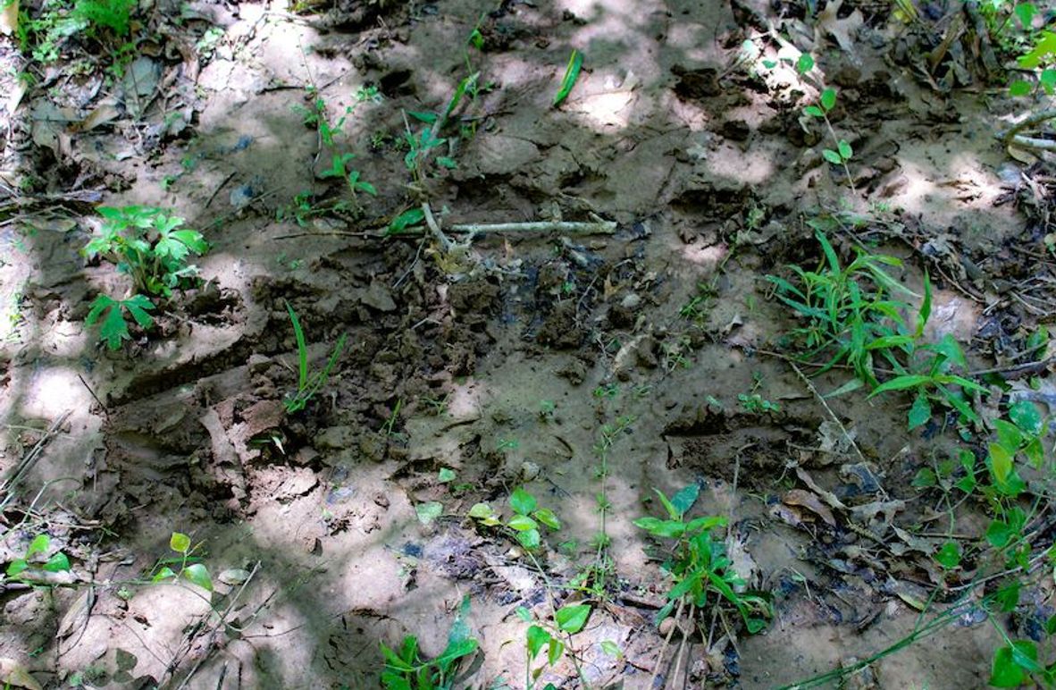 Warren Co - 34.52 - Roy-05