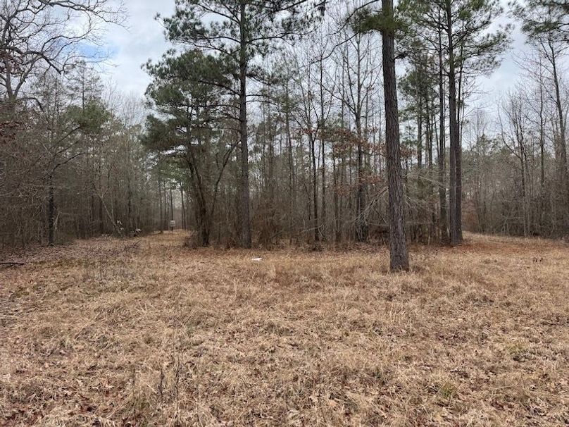 311 new20260217_0483